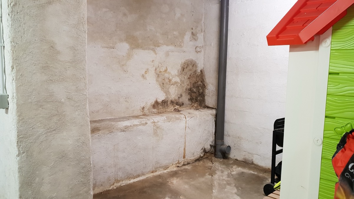 Infiltrations d'eau - Expertise humidité à Laval